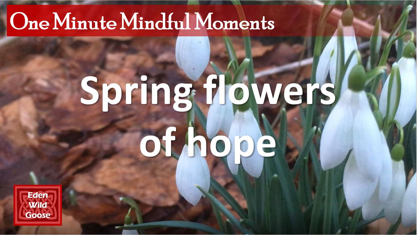 Spring Flowers of hope Title